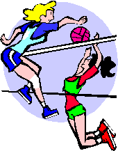 volleybal